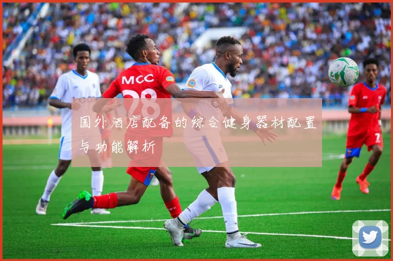 国外酒店配备的综合健身器材配置与功能解析