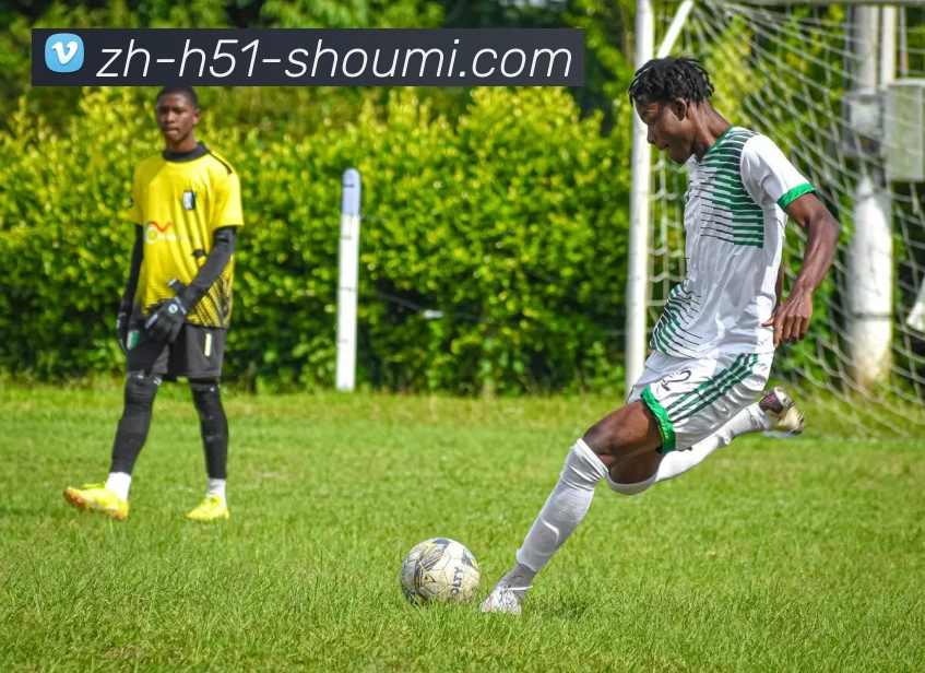 收米体育直播服务体系